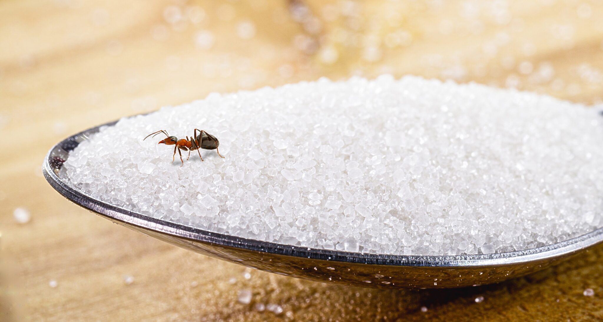 Plastic Innovations InsectRepellent Plastic Products Phoenix Plastics